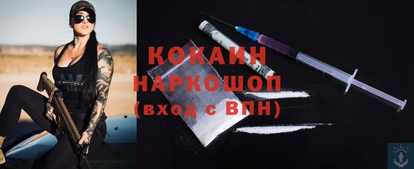трава Аркадак