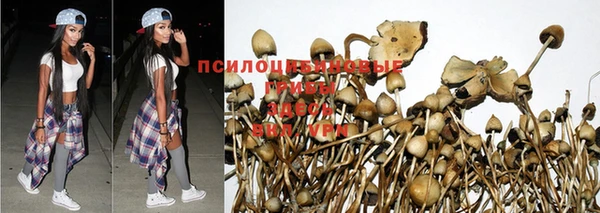 а пвп мука Арсеньев