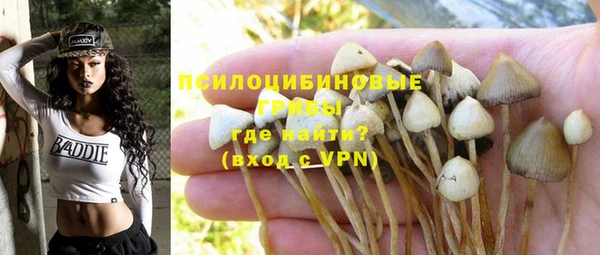 а пвп мука Арсеньев