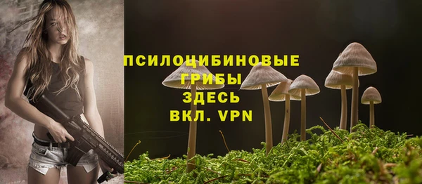 mix Алексеевка