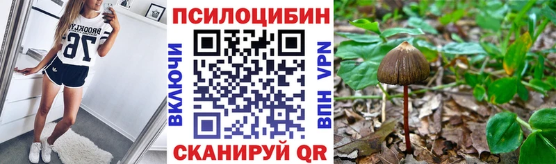 Псилоцибиновые грибы Psilocybe Сольвычегодск